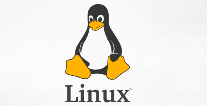 如何查看Linux文件格式(如何确定Linux文件的格式)-编程社