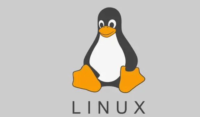 Linux主目录在哪(Linux主目录的路径在哪？)-编程社