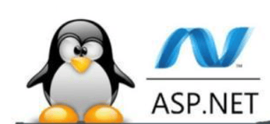 Linux主机支持asp吗(Linux主机是否支持ASP？)-编程社