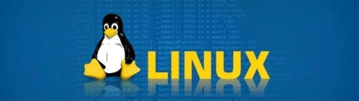 Linux终端如何播放视频(Linux终端视频播放教程)-编程社