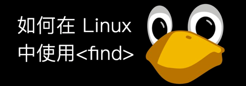 Linux find命令详解(Linux查找命令Find的使用方法)-编程社