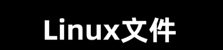 Linux只读文件怎么修改(如何修改只读文件在Linux上的权限)-编程社