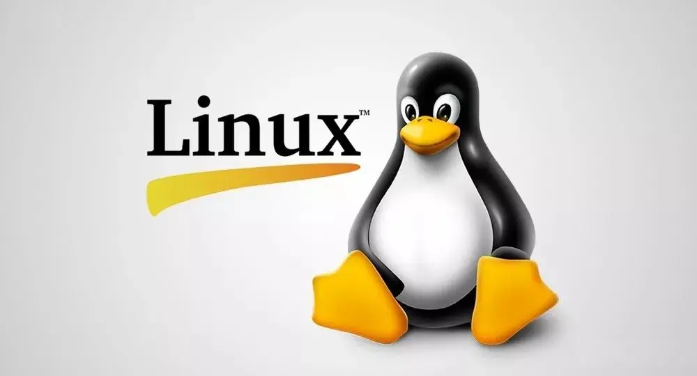 Linux深度解析：mkdir -p命令的详细用法与示例-编程社