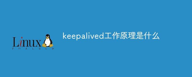 深度剖析Keepalived：理解其工作原理与机制-编程社