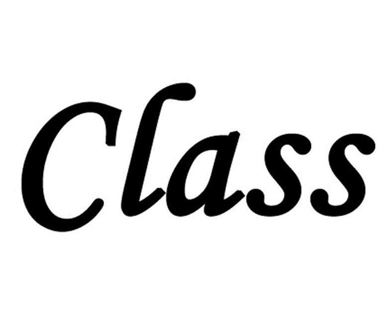 编程基础：深入理解类（Class）及其在代码中的应用(class是什么意思)-编程社