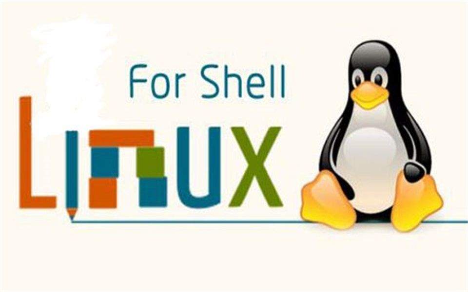 Linux Shell脚本的系统监控技术：实战篇-编程社