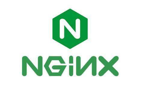 深度探索Nginx：Stream模块详细解析与应用-编程社