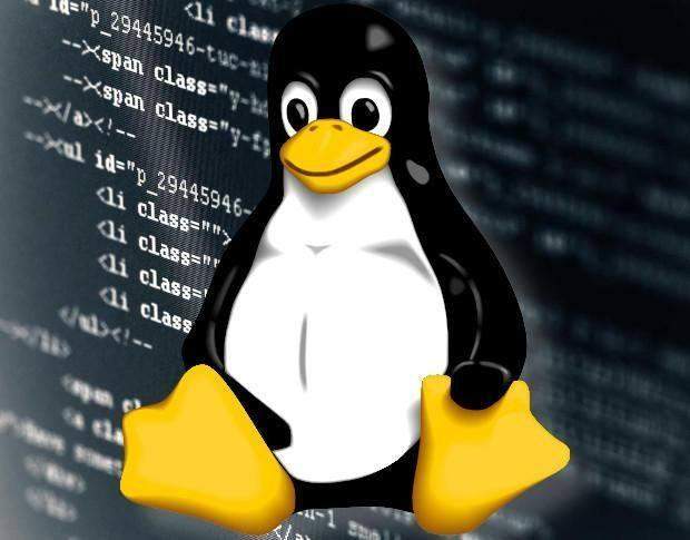 Linux系统中如何查看操作系统信息：详细指南-编程社