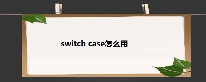 《Switch-Case语句详解：掌握条件分支控制技巧》-编程社