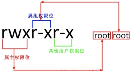 Linux用户权限探究：查看与分析方法详解-编程社