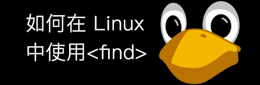 精通Linux find命令：使用-name选项进行模糊查找-编程社