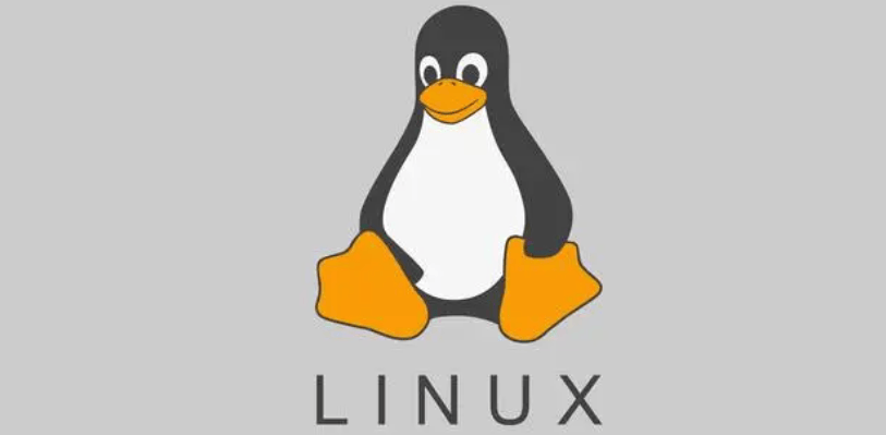 Linux磁盘管理深度解析：gdisk命令详细使用指南-编程社