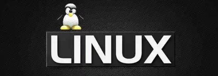 详细探索Linux中的du命令详解：一个全面指南-编程社