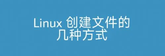 Linux文件管理基础：如何创建目录和文件的详细指南-编程社