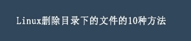 Linux文件管理指南：详解如何使用命令行删除文件夹-编程社