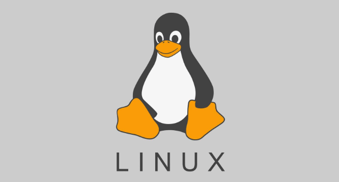 Linux环境下开放指定端口的全面教程-编程社