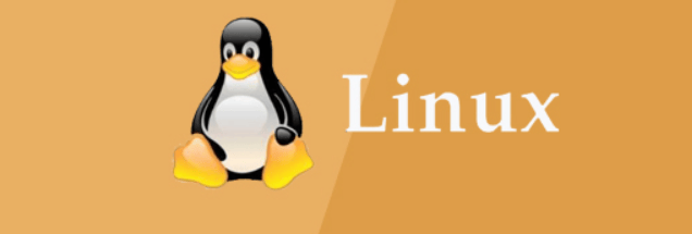 Linux环境下重启网络接口卡（网卡）的全面指南-编程社