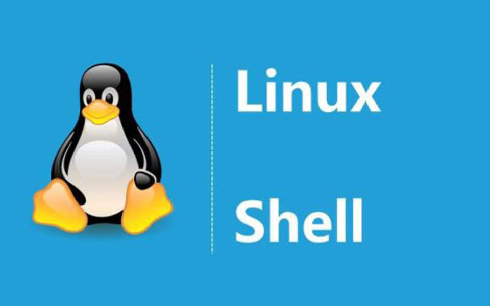 Linux Shell脚本编写实践：如何根据用户名查询用户相关信息-编程社