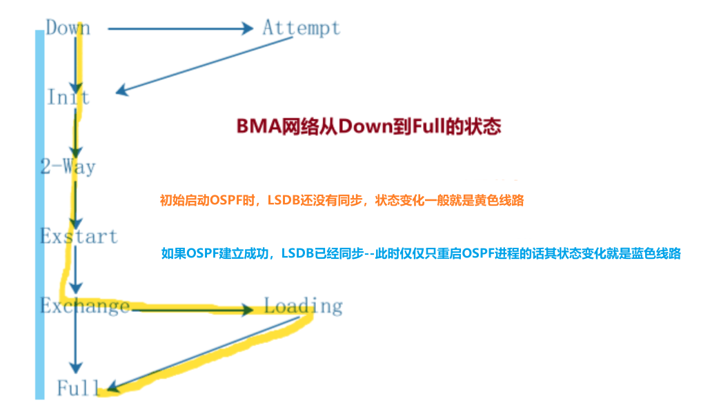 深度探索OSPF协议：解析七种状态的过程和作用-编程社