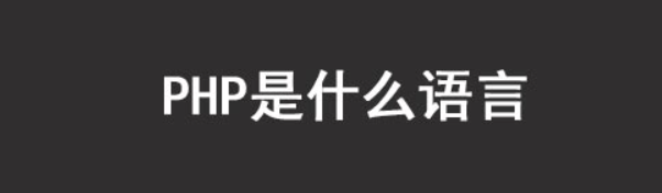 PHP是什么语言(php是前端还是后端)-编程社