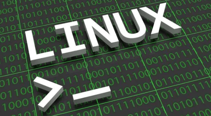 Linux系统下查看每个IP连接数的方法：使用netstat和ss命令轻松统计-编程社