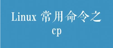 Linux cp命令实战详解：轻松掌握文件与目录复制技巧-编程社