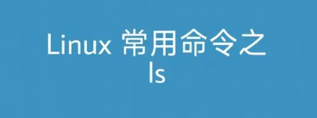 Linux ls命令详解：轻松掌握目录与文件查看技巧-编程社