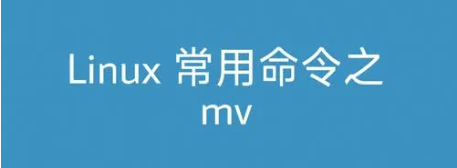 Linux mv命令使用教程：文件与目录移动及重命名技巧全解析-编程社