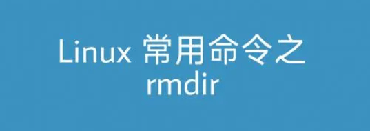 Linux rmdir命令详解：轻松掌握目录删除技巧-编程社