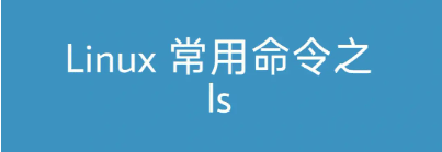 Linux文件浏览利器：ls命令详解与实用技巧-编程社