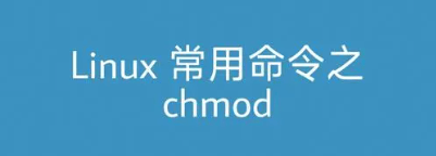 Linux权限控制大师：chmod命令详解与实用技巧-编程社