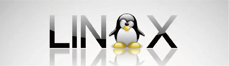 Linux中如何使用cp命令复制多个文件-编程社