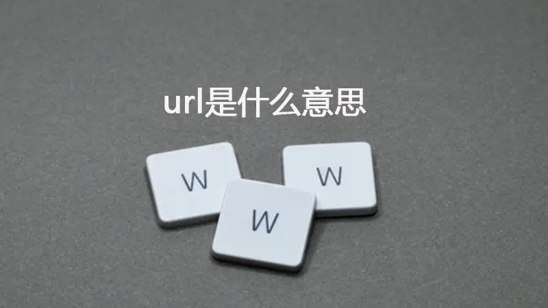 互联网基础知识：URL编码的含义与应用-编程社