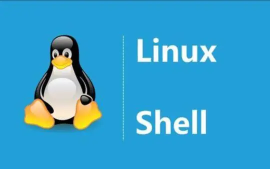 使用Linux Shell脚本批量杀死进程的详细教程-编程社