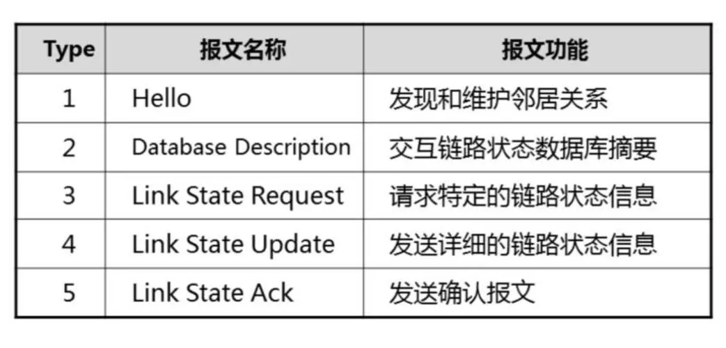 深入剖析OSPF协议：五种报文类型及其作用-编程社