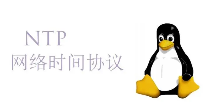 详细解读Linux下的ntpdate命令：实用教程与技巧-编程社