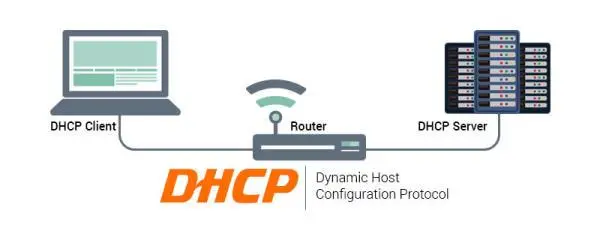 网络基础知识解析：什么是DHCP？-编程社