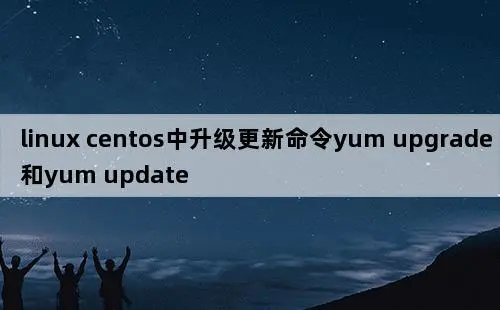 Linux系统维护：YUM更新命令的深入理解与应用-编程社