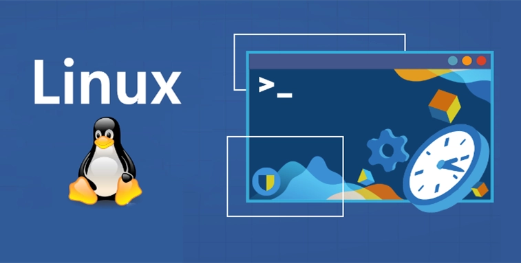 Linux硬盘管理实战：fdisk -l命令详解-编程社