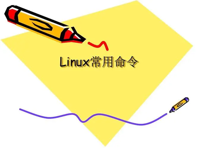 Linux sh命令详解与实用教程-编程社