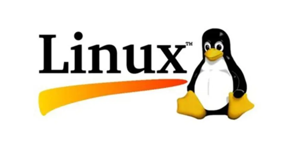 Linux Shell脚本实战：自动化磁盘I/O性能检测-编程社