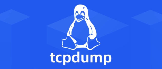 深入探索网络诊断：tcpdump抓包命令详解与应用-编程社