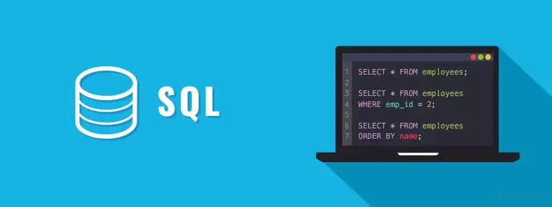 SQL通配符详解：高效搜索和匹配数据的关键技巧-编程社