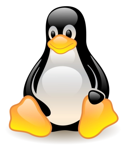 Linux环境下查看CPU型号的详细指南-编程社