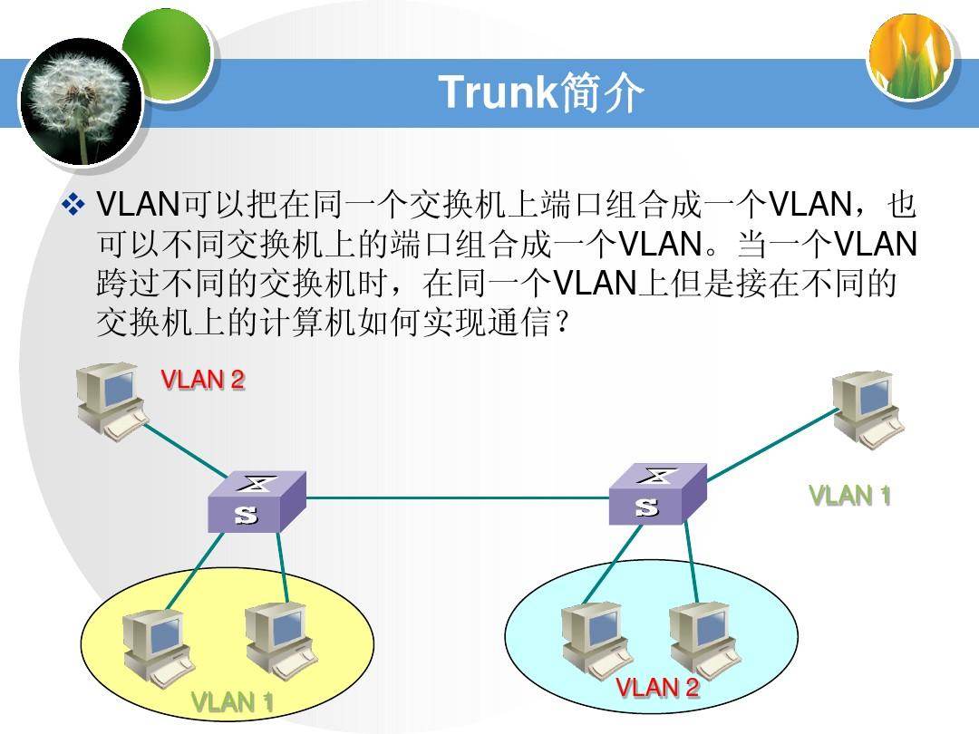 实战技巧：VLAN的划分方法详细解析-编程社