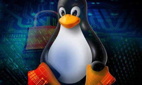 Linux管道命令的深度解析与实用教程-编程社