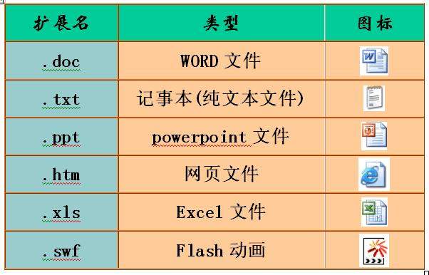 常见文件类型有哪几种？-编程社