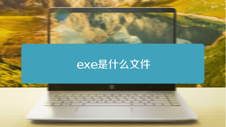 exe文件是什么：exe文件的含义与工作原理-编程社