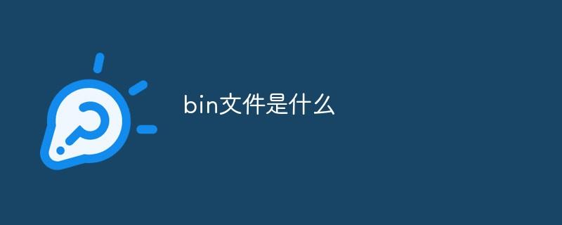 bin文件是什么：bin文件的定义与应用-编程社