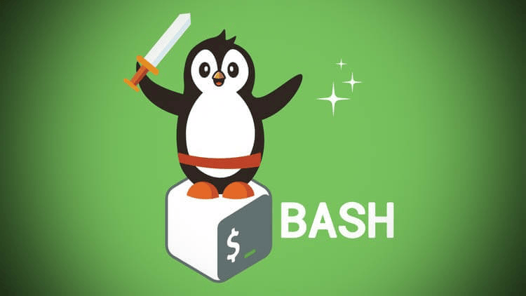 图片[2]-命令行解释器：ZSH和Bash-编程社